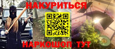 прущие грибы Канаш