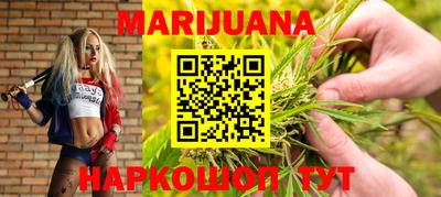 прущие грибы Канаш